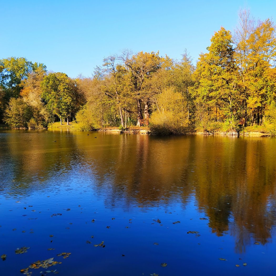 Parc Du Bois De L'Etang 1